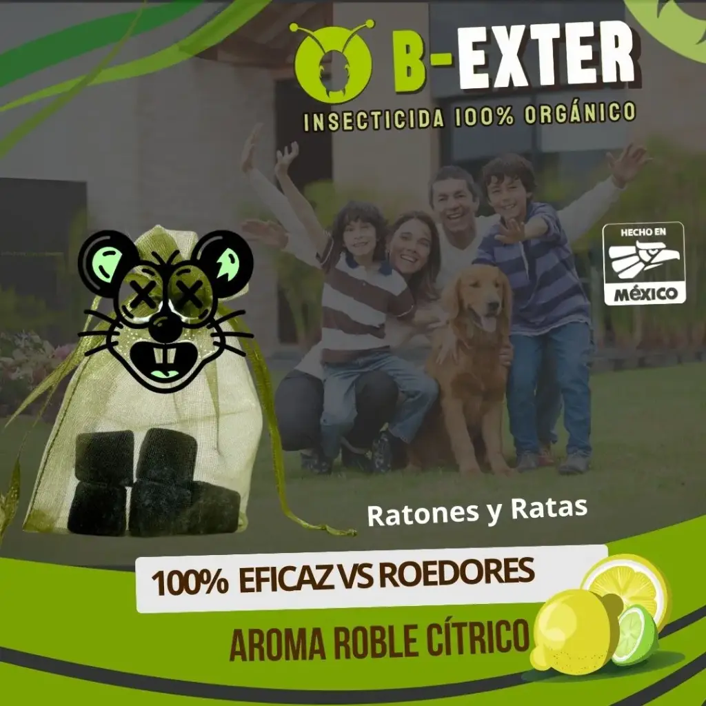 Rat-Ex - 5 pastillas mata ratas y ratones B-EXTER®